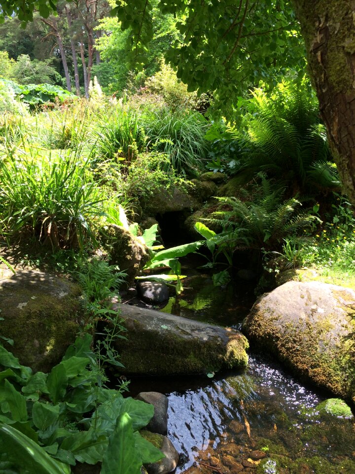 Rocks water photo