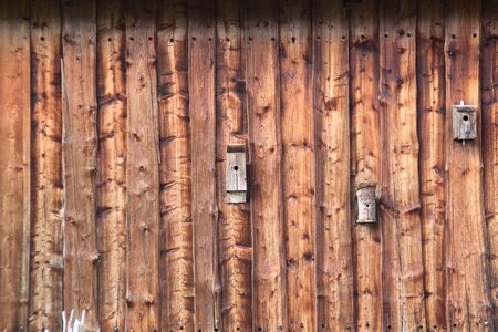 Bohlen background grain
