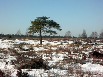 High fens snow sky
