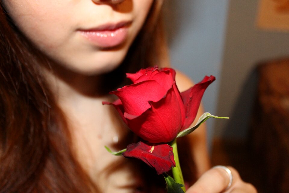 Rose love detail