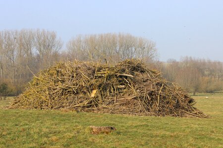 Wood pile branches bonfire
