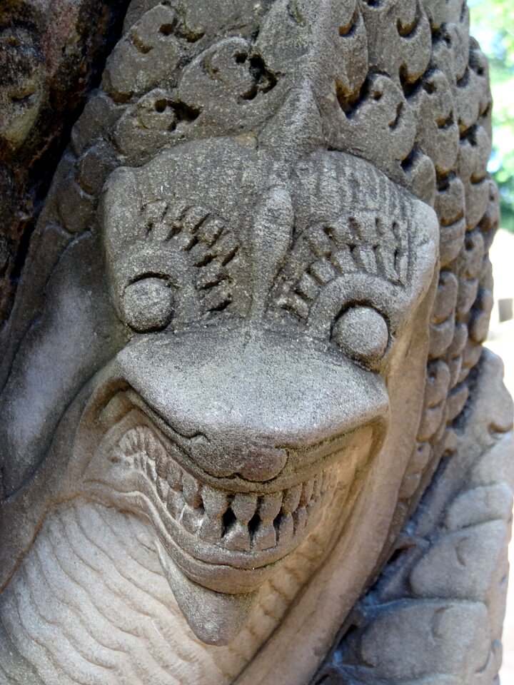 Dragon cambodia temple