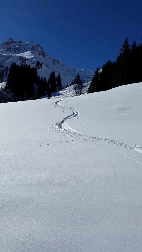 Tour winter sports winter
