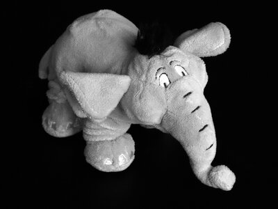 Pachyderm grauhaeuter soft toy
