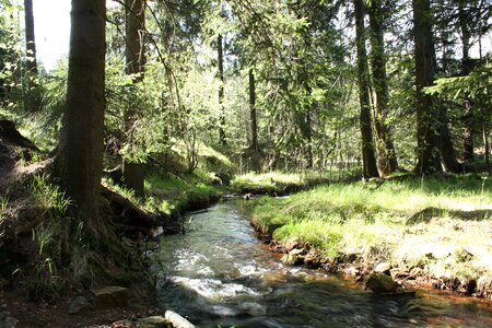 Mountain stream wilderness nature