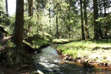 Mountain stream wilderness nature photo