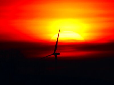 Wing backlighting abendstimmung