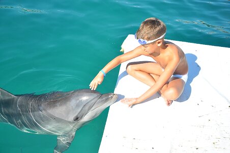 Boy sea anipal