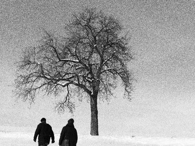 Pedestrian snow nature