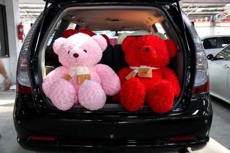 Teddy space wagon