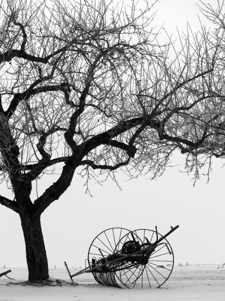 Snow still life hay tedders