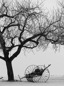 Snow still life hay tedders