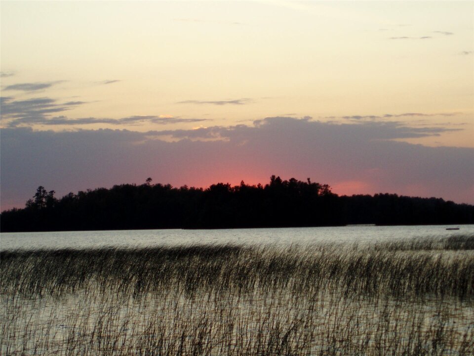 Nature reeds minnesota