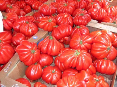 Vegetables market mediterranean photo