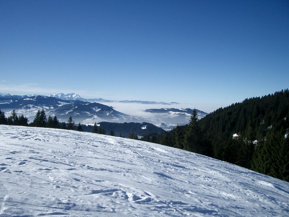 View lake constance hochaedrich
