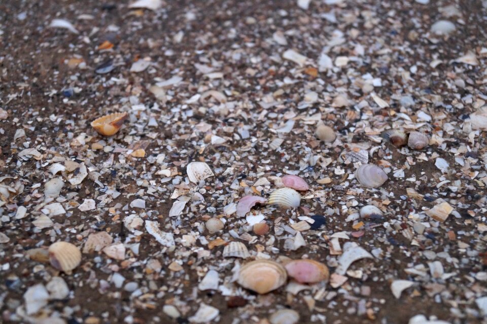 Marzena the stones sea