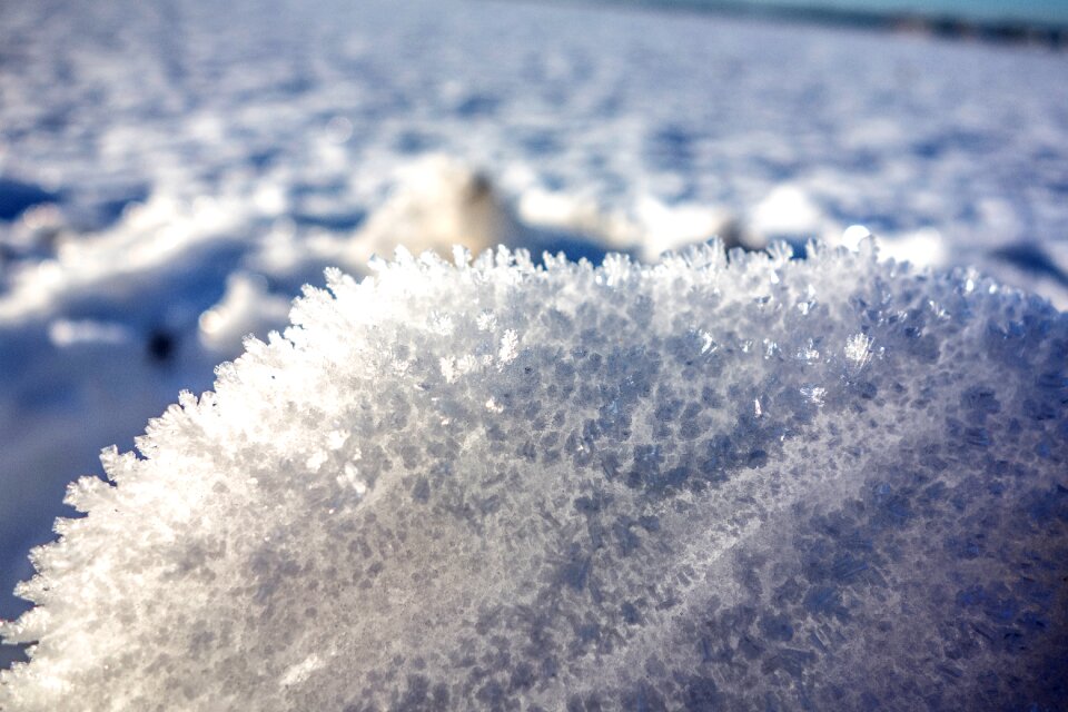Wintry detail macro