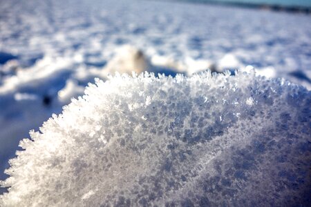 Wintry detail macro photo