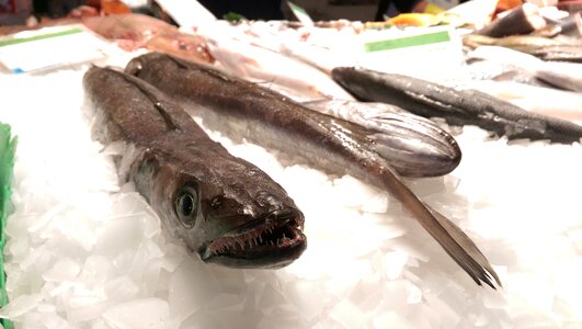 Called rothmans fish market seafood
