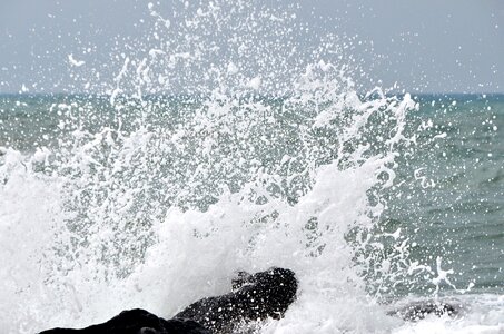 Sea scum rock