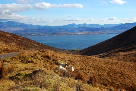 Bay landscape