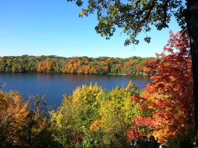 Mississippi colorful leaves photo