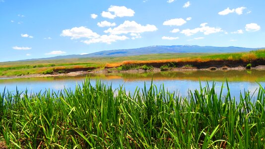Tea erzurum nature