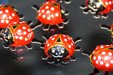 Decoration chocolate beetle luck