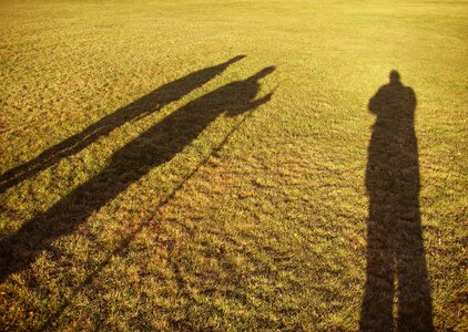 Wise long silhouette