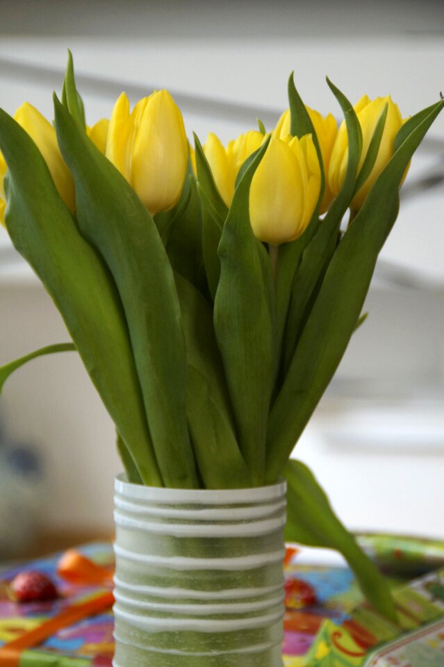 Spring spring flower strauss