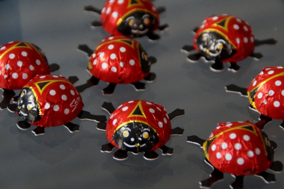 Decoration chocolate beetle luck