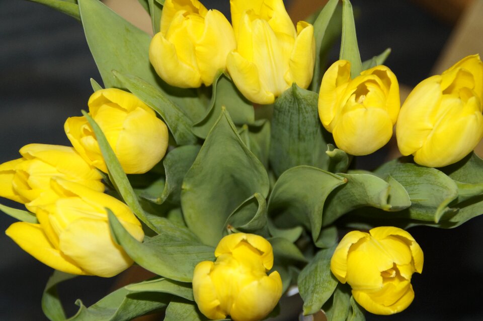 Spring spring flower strauss