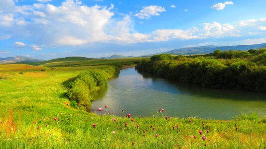 Tea river landscape photo