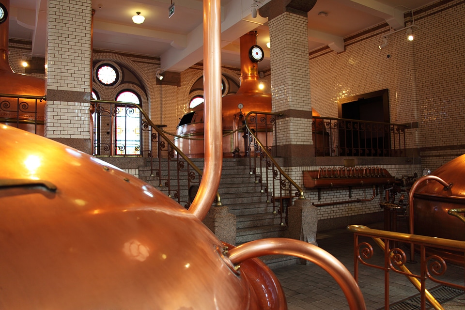 Brewer brewery brewing