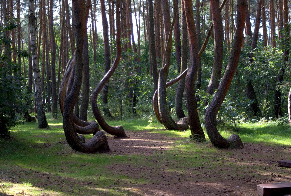 Park interesting fact nature