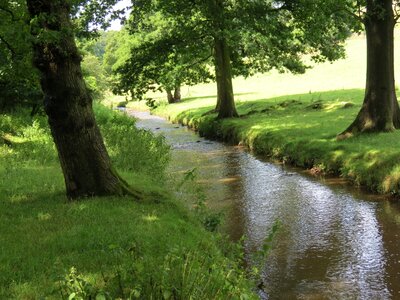 Stream summer