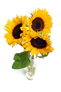 Bouquet color colors