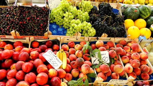 Mediterranean fresh italian