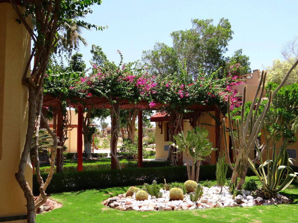Summer garden vacations hotel