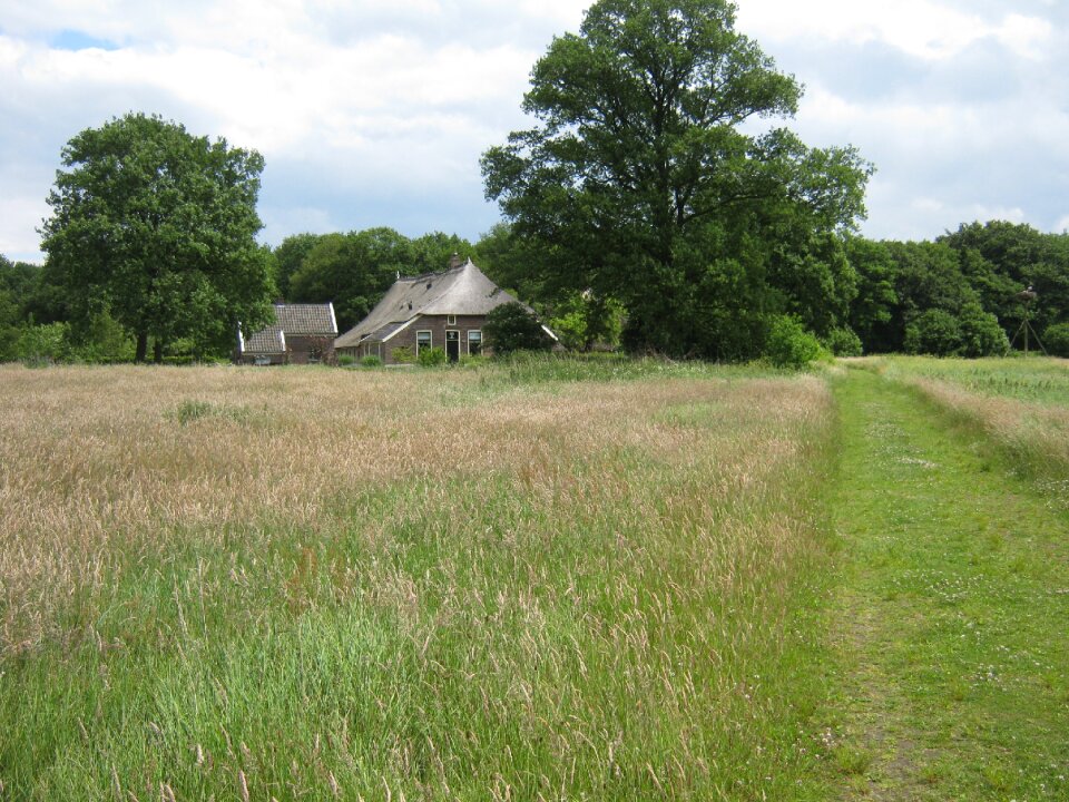 Houses nature farm