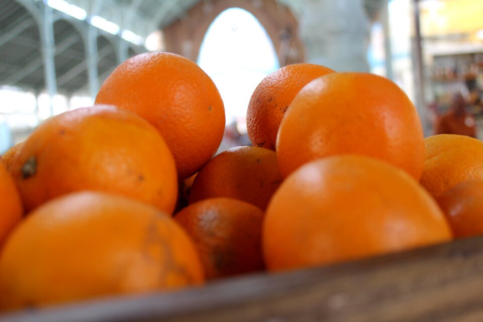 Valencia market columbus still life
