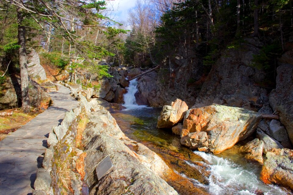 Nature landscape path photo