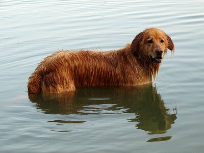 Lake swim water sports