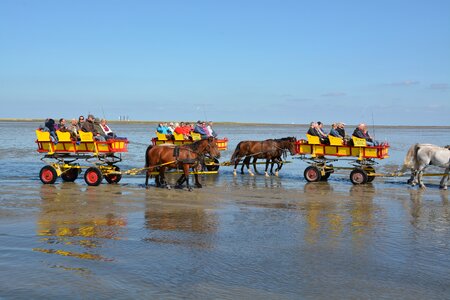 Watts north sea wadden sea