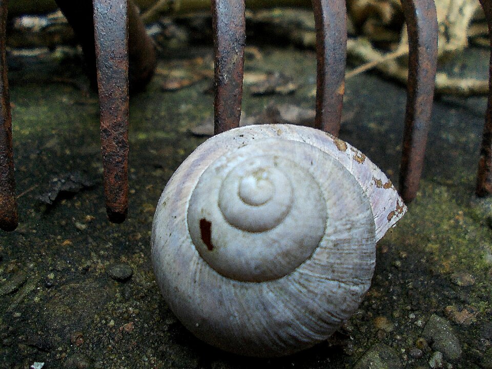 Artifact iron decoration