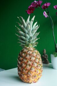 Pineapple fruit healthy