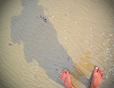 Sun summer travel