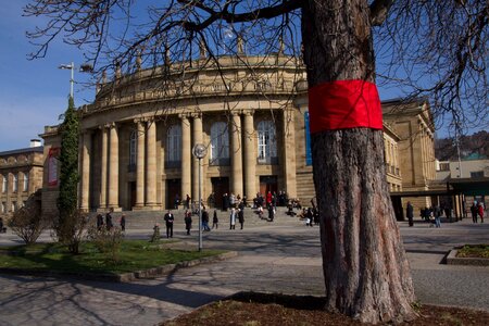 City tree movement