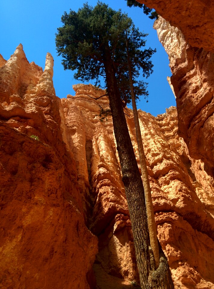 Travel utah park photo