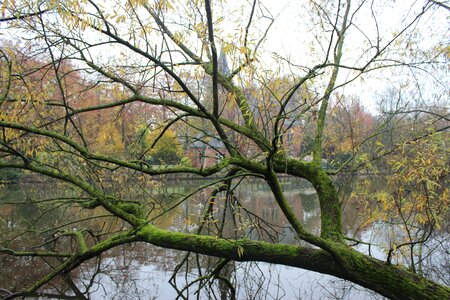 Belgium autumn